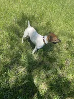 processed/eea0282a-4384-4b33-89f9-e1042630f6f5/facility/6d64ddc4-5210-47cd-b28e-8aa6b520a9d8