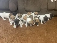 processed/eea0282a-4384-4b33-89f9-e1042630f6f5/facility/c830427f-5d1d-40b5-be72-71b2116f33fe