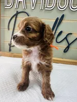 processed/eea05e11-f7fa-4b39-a657-53e80b165802/listing/0210413e-4273-464b-a9d5-7725fb57cc6f/3720a47f-f0fb-4da1-83fc-0f0ae61b8189