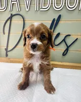 processed/eea05e11-f7fa-4b39-a657-53e80b165802/listing/0210413e-4273-464b-a9d5-7725fb57cc6f/611086ed-52a2-42f9-86e9-0ad6b4b3fb19