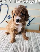 processed/eea05e11-f7fa-4b39-a657-53e80b165802/listing/0210413e-4273-464b-a9d5-7725fb57cc6f/70585c23-3229-4c52-85fb-a5c4d4fd0867