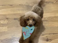 processed/eea05e11-f7fa-4b39-a657-53e80b165802/listing/0210413e-4273-464b-a9d5-7725fb57cc6f/8b04ca3e-3015-43a5-b965-de090a6d2c85