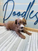 processed/eea05e11-f7fa-4b39-a657-53e80b165802/listing/0210413e-4273-464b-a9d5-7725fb57cc6f/908fa4c8-cc09-470d-978f-d6f750738a89