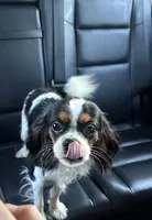 processed/eea05e11-f7fa-4b39-a657-53e80b165802/listing/0210413e-4273-464b-a9d5-7725fb57cc6f/a0520d6f-0636-48e7-92d9-8c0628d58528