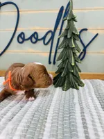 processed/eea05e11-f7fa-4b39-a657-53e80b165802/listing/0210413e-4273-464b-a9d5-7725fb57cc6f/a37d2605-3081-45bd-92f0-86fd40c3eec2