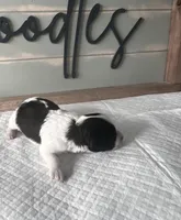 processed/eea05e11-f7fa-4b39-a657-53e80b165802/listing/4ff0a7c2-38ba-4640-b1e7-f7717ed9dab9/5474e3ca-b3bd-41b4-a043-86c64a8040d3