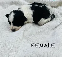 processed/eea05e11-f7fa-4b39-a657-53e80b165802/listing/4ff0a7c2-38ba-4640-b1e7-f7717ed9dab9/712cd8e3-46ba-4523-a4e5-67189d64e1d2