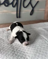 processed/eea05e11-f7fa-4b39-a657-53e80b165802/listing/4ff0a7c2-38ba-4640-b1e7-f7717ed9dab9/ff9f2021-3d87-43cc-96dd-86697ed32e3e