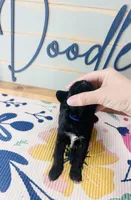 Puffin, a male Yorkipoo for sale in Bogata, TX – 5 of 5