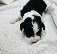 processed/eea05e11-f7fa-4b39-a657-53e80b165802/listing/a7de340f-8af5-401d-afcc-e66a577226ce/4baf14e5-7b21-4a58-8884-ff78e1cf1c30