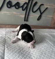 processed/eea05e11-f7fa-4b39-a657-53e80b165802/listing/a7de340f-8af5-401d-afcc-e66a577226ce/769b1bfe-a9db-42d6-b899-66c61fb395cf