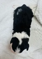 processed/eea05e11-f7fa-4b39-a657-53e80b165802/listing/a7de340f-8af5-401d-afcc-e66a577226ce/dac40d7d-65e9-422e-b2d8-bebc1f0f85f5