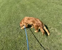 processed/eea05e11-f7fa-4b39-a657-53e80b165802/listing/b83a50a6-e674-4a9f-b3dd-be8651710f84/391783b7-def0-47c9-814b-9198adc7e5d9