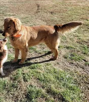 processed/eea05e11-f7fa-4b39-a657-53e80b165802/listing/b83a50a6-e674-4a9f-b3dd-be8651710f84/90dc1476-bd67-4500-a910-fd8b785d5288