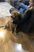 processed/eea05e11-f7fa-4b39-a657-53e80b165802/listing/b83a50a6-e674-4a9f-b3dd-be8651710f84/d17138eb-90db-4089-9dd1-56812a915aab