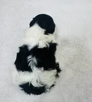 processed/eea05e11-f7fa-4b39-a657-53e80b165802/listing/e0a73ca7-f4f1-4b0e-b2cc-25871e4b6abc/15c229b2-144f-4b63-860e-2c6341ba1407