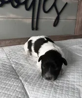 processed/eea05e11-f7fa-4b39-a657-53e80b165802/listing/e0a73ca7-f4f1-4b0e-b2cc-25871e4b6abc/cf3b982e-bafb-40dd-b387-152e15b4437b