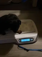 processed/eea60e46-2298-40b5-b5d1-b3d4e77057dd/listing/0227110a-5655-4017-8df0-c7765c3248a8/3d01e5b5-2fa1-4225-b277-c0825954b83c