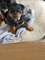 processed/eea60e46-2298-40b5-b5d1-b3d4e77057dd/listing/0227110a-5655-4017-8df0-c7765c3248a8/50911ee6-7691-403a-907b-7229ff755316