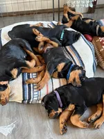 processed/eea60e46-2298-40b5-b5d1-b3d4e77057dd/listing/0227110a-5655-4017-8df0-c7765c3248a8/67eaa3fd-1c78-483d-9da7-6d26e6e7a5ea