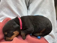 processed/eea60e46-2298-40b5-b5d1-b3d4e77057dd/listing/69ce4ec7-3a2c-4f3a-a075-f4eca15a75ab/16ac12a3-996d-48f5-8348-ec62cc2428f2