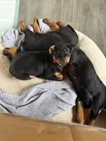 processed/eea60e46-2298-40b5-b5d1-b3d4e77057dd/listing/69ce4ec7-3a2c-4f3a-a075-f4eca15a75ab/7d6761e1-5c70-48f5-9800-04ee1e0e330e