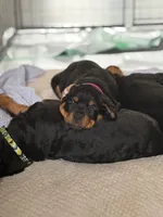 processed/eea60e46-2298-40b5-b5d1-b3d4e77057dd/listing/69ce4ec7-3a2c-4f3a-a075-f4eca15a75ab/ab6706c3-f335-4b87-a9ee-3bd1dcbfdae6