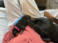 processed/eea60e46-2298-40b5-b5d1-b3d4e77057dd/listing/69ce4ec7-3a2c-4f3a-a075-f4eca15a75ab/ed432e4a-c297-43a5-9a19-bdd74595a07d