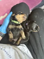 processed/eea60e46-2298-40b5-b5d1-b3d4e77057dd/listing/6ec83fc9-1eff-4120-9de3-7b7bbb7f2b9c/010914a0-d47d-4902-a238-8f7039afbfdd