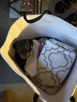 processed/eea60e46-2298-40b5-b5d1-b3d4e77057dd/listing/6ec83fc9-1eff-4120-9de3-7b7bbb7f2b9c/57c8ec3e-be37-4993-8a32-215d1ad04fe5