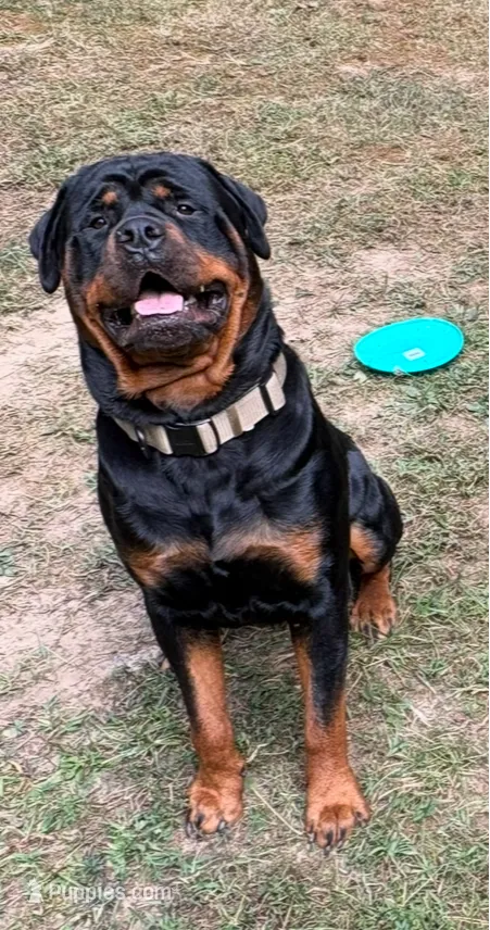 processed/eea60e46-2298-40b5-b5d1-b3d4e77057dd/listing/6ec83fc9-1eff-4120-9de3-7b7bbb7f2b9c/c2073478-62cf-46f9-b57d-6f1da0e5be43