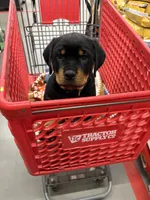 processed/eea60e46-2298-40b5-b5d1-b3d4e77057dd/listing/6ec83fc9-1eff-4120-9de3-7b7bbb7f2b9c/cc660147-2159-4d18-9e47-75ed350299be