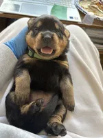 processed/eea60e46-2298-40b5-b5d1-b3d4e77057dd/listing/6ec83fc9-1eff-4120-9de3-7b7bbb7f2b9c/d8562487-077a-44c7-8dfe-ee5580dc9824