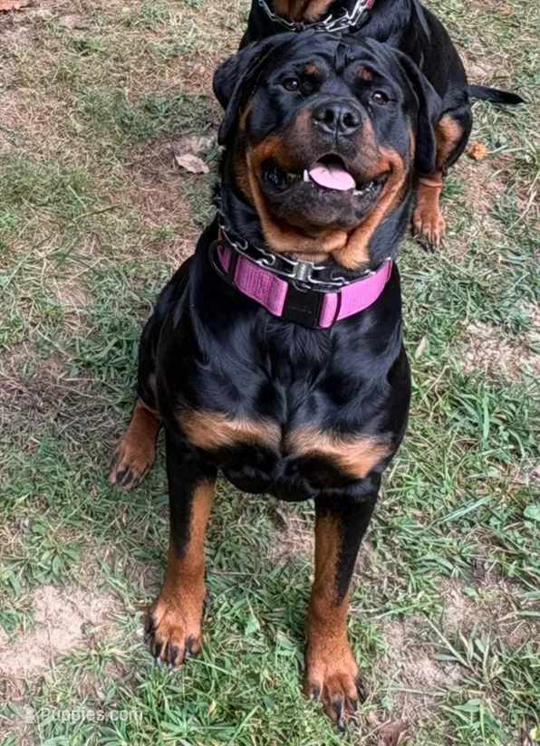 processed/eea60e46-2298-40b5-b5d1-b3d4e77057dd/listing/6ec83fc9-1eff-4120-9de3-7b7bbb7f2b9c/dbf3b521-0ff4-45b2-82eb-a15c799cc05b