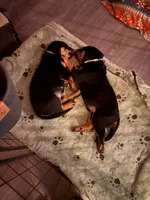 processed/eea60e46-2298-40b5-b5d1-b3d4e77057dd/listing/7ebb15cc-9cd2-4dd8-a9d5-d3249299d076/26f90298-6883-42ef-960e-204db76d5299