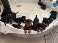 processed/eea60e46-2298-40b5-b5d1-b3d4e77057dd/listing/7ebb15cc-9cd2-4dd8-a9d5-d3249299d076/2cd2ecfd-7c66-437e-8153-1c4db490a48c