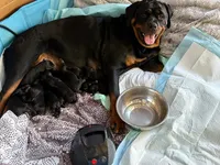 processed/eea60e46-2298-40b5-b5d1-b3d4e77057dd/listing/7ebb15cc-9cd2-4dd8-a9d5-d3249299d076/3d4836da-5097-402a-abe7-34c18d909686