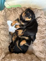 processed/eea60e46-2298-40b5-b5d1-b3d4e77057dd/listing/7ebb15cc-9cd2-4dd8-a9d5-d3249299d076/40db6226-f910-4b77-82e8-04e4ce348fc9