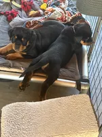 processed/eea60e46-2298-40b5-b5d1-b3d4e77057dd/listing/7ebb15cc-9cd2-4dd8-a9d5-d3249299d076/58193349-5180-4dc6-bc60-84539e51c3bc