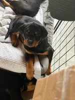 processed/eea60e46-2298-40b5-b5d1-b3d4e77057dd/listing/7ebb15cc-9cd2-4dd8-a9d5-d3249299d076/a5e5ad3e-b34d-45b3-bf1d-7ac646177228