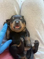 processed/eea60e46-2298-40b5-b5d1-b3d4e77057dd/listing/b7516981-d3ae-4f1c-94e5-cdc3d29a150e/04c1a0a6-d709-43cf-9c7f-2ab262a3d72a