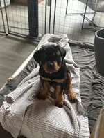 processed/eea60e46-2298-40b5-b5d1-b3d4e77057dd/listing/b7516981-d3ae-4f1c-94e5-cdc3d29a150e/12586882-2000-4d87-a79f-3a0cd663de2f