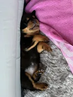 processed/eea60e46-2298-40b5-b5d1-b3d4e77057dd/listing/b7516981-d3ae-4f1c-94e5-cdc3d29a150e/4fe612be-ca32-43e6-b18f-987701ce62ec