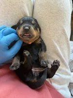 processed/eea60e46-2298-40b5-b5d1-b3d4e77057dd/listing/b7516981-d3ae-4f1c-94e5-cdc3d29a150e/58c0fd32-ef32-4272-955b-458b6ca442e9