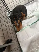 processed/eea60e46-2298-40b5-b5d1-b3d4e77057dd/listing/b7516981-d3ae-4f1c-94e5-cdc3d29a150e/8642db88-1311-41da-9ad7-6a9493f238b0