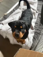 processed/eea60e46-2298-40b5-b5d1-b3d4e77057dd/listing/b7516981-d3ae-4f1c-94e5-cdc3d29a150e/882eb215-3f0f-4ac7-b52e-f46d53bd2355