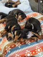 processed/eea60e46-2298-40b5-b5d1-b3d4e77057dd/listing/b7516981-d3ae-4f1c-94e5-cdc3d29a150e/94108675-09e3-43ff-af29-151fc6ddc09b