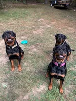 processed/eea60e46-2298-40b5-b5d1-b3d4e77057dd/listing/b7516981-d3ae-4f1c-94e5-cdc3d29a150e/b522474a-9685-4dbf-9e85-ee3ddb883b6d