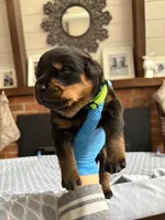 processed/eea60e46-2298-40b5-b5d1-b3d4e77057dd/listing/b78a3e95-98c6-4530-9589-2906e6e2e4d2/1884a6dc-f131-469f-aa75-c64c0c453f00