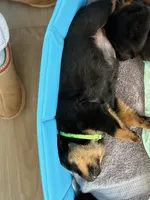 processed/eea60e46-2298-40b5-b5d1-b3d4e77057dd/listing/b78a3e95-98c6-4530-9589-2906e6e2e4d2/7aa3b97a-28b6-4e40-9a3f-f5102546f882